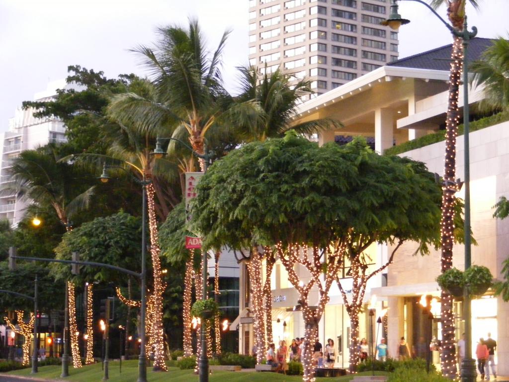 Foto de Waikiki (Oahu) (Hawaii), Estados Unidos