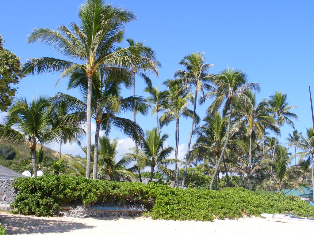Foto de Lanikai (Oahu) (Hawaii), Estados Unidos