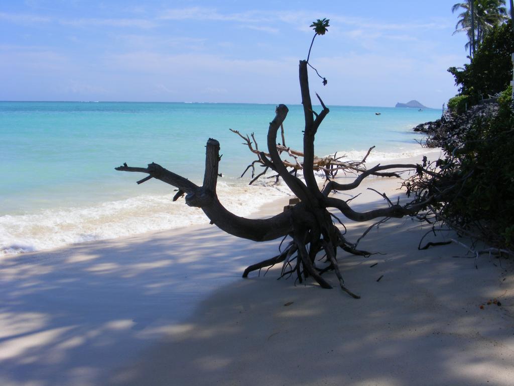 Foto de Lanikai (Oahu) (Hawaii), Estados Unidos