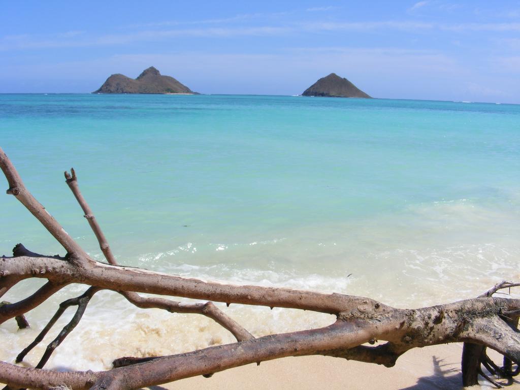 Foto de Kailua (Oahu) (Hawaii), Estados Unidos
