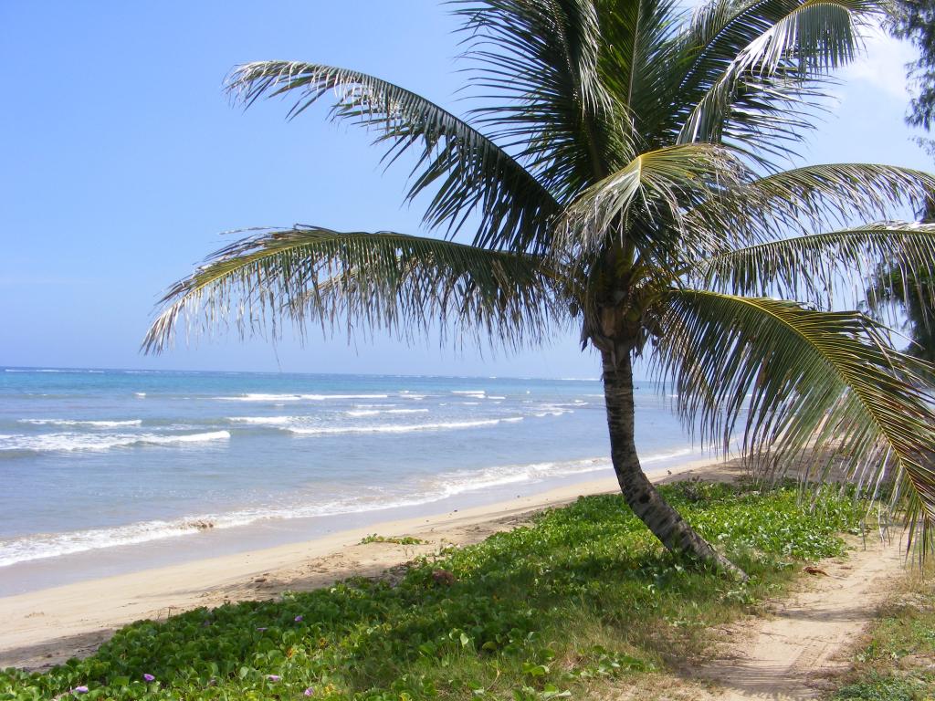 Foto de Oahu (Hawaii), Estados Unidos