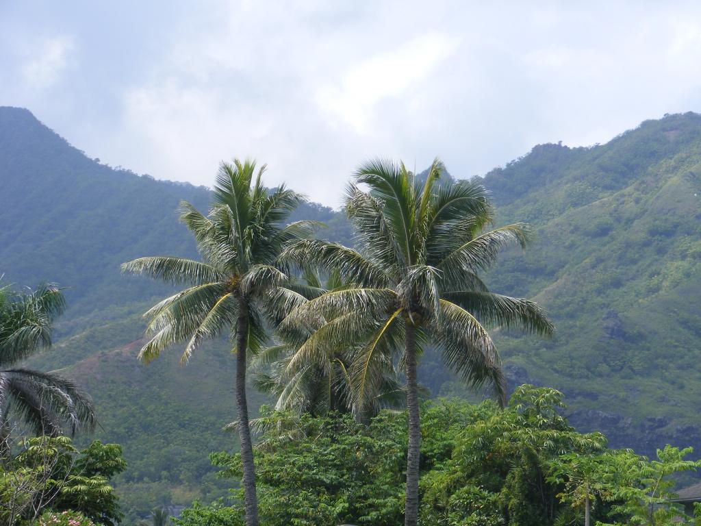 Foto de Oahu (Hawaii), Estados Unidos