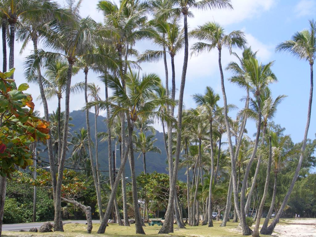 Foto de Oahu (Hawaii), Estados Unidos