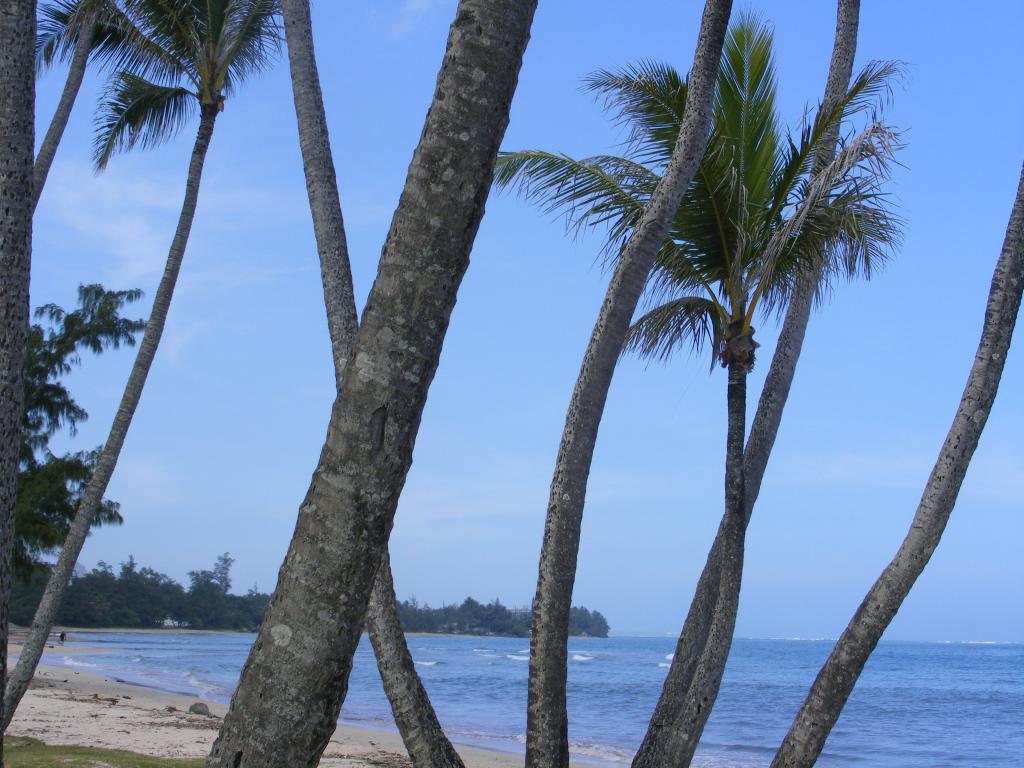 Foto de Oahu (Hawaii), Estados Unidos
