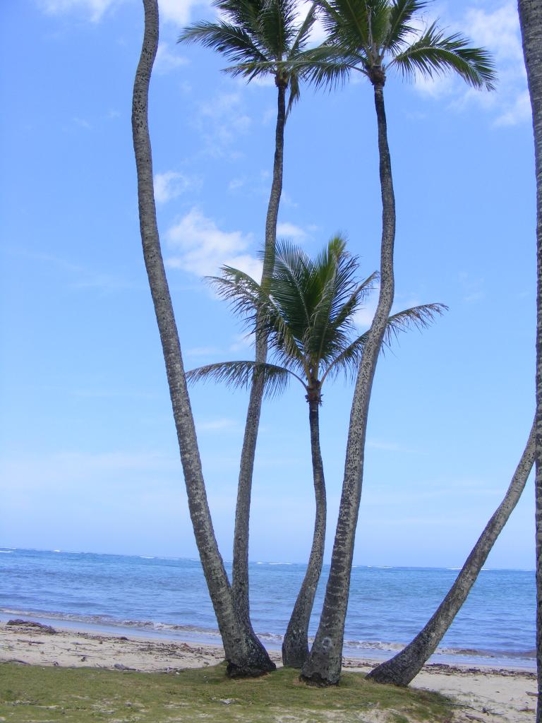 Foto de Oahu (Hawaii), Estados Unidos