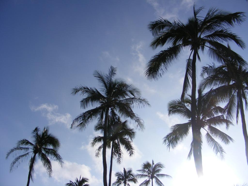 Foto de Oahu (Hawaii), Estados Unidos