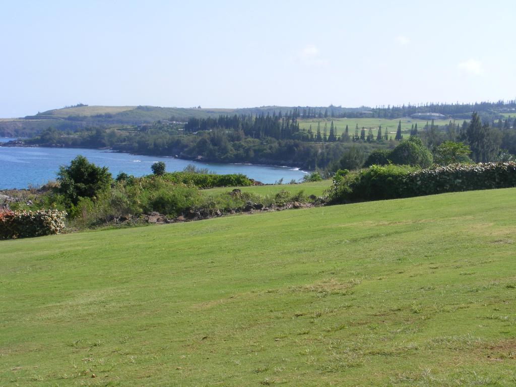 Foto de Kapalua (Maui) (Hawaii), Estados Unidos