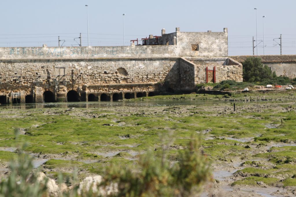 Foto de San Fernando (Cádiz), España
