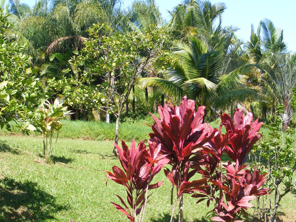 Foto de Maui (Hawaii), Estados Unidos