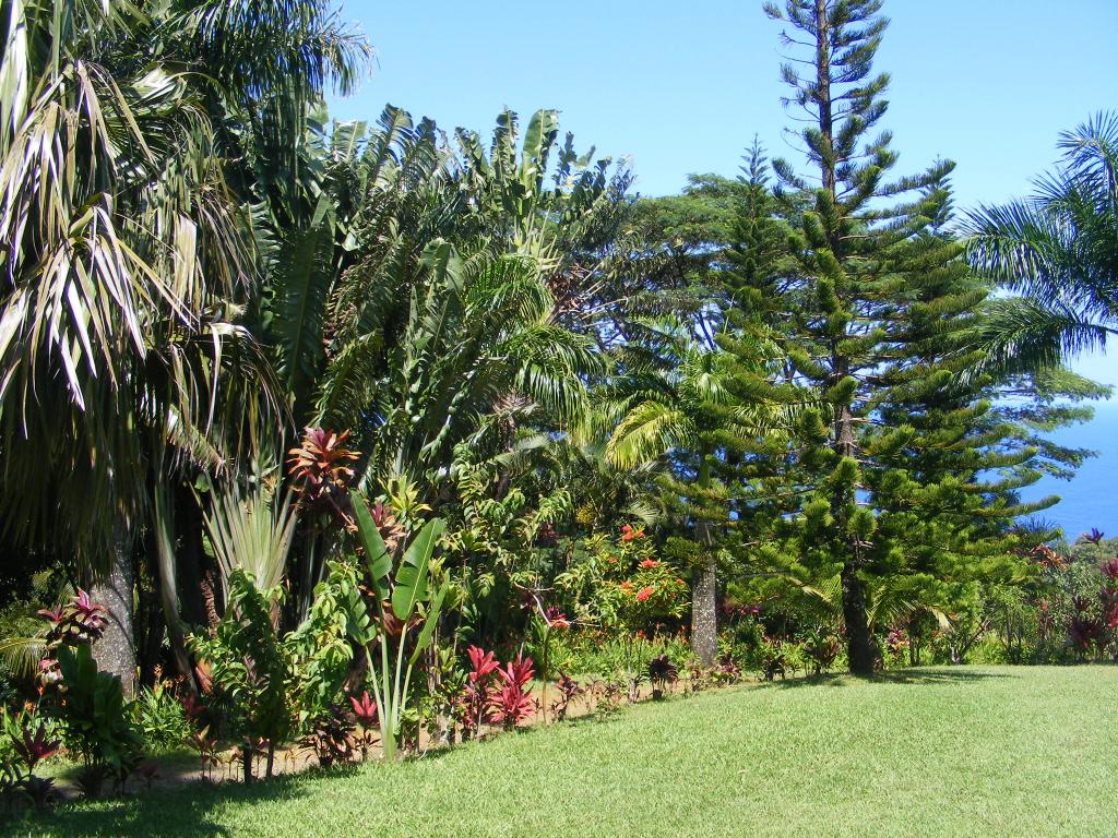 Foto de Maui (Hawaii), Estados Unidos