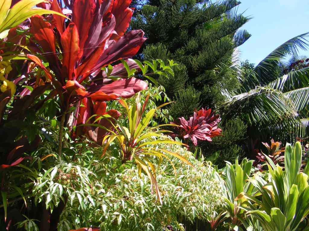 Foto de Maui (Hawaii), Estados Unidos