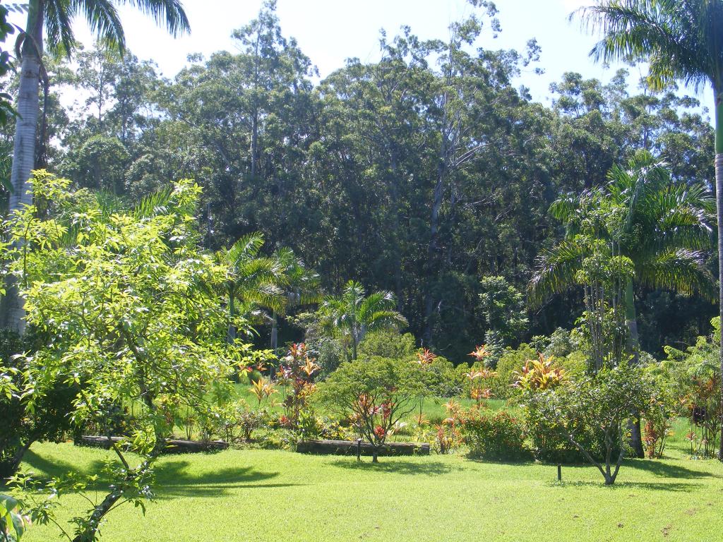 Foto de Maui (Hawaii), Estados Unidos