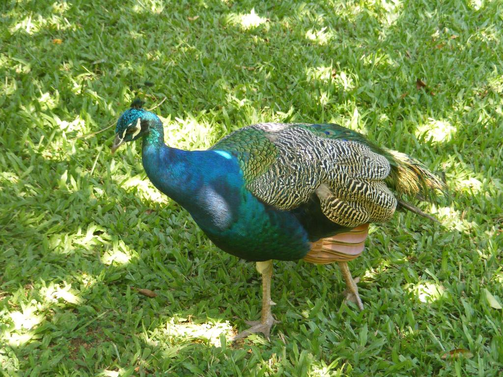 Foto de Maui (Hawaii), Estados Unidos