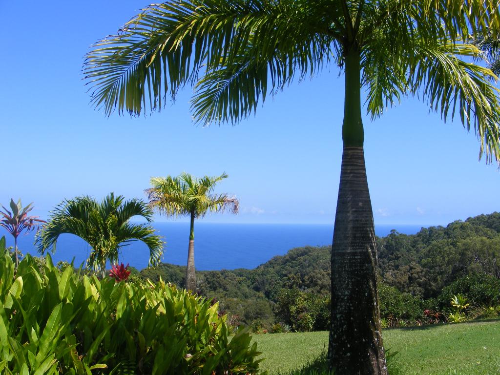 Foto de Maui (Hawaii), Estados Unidos