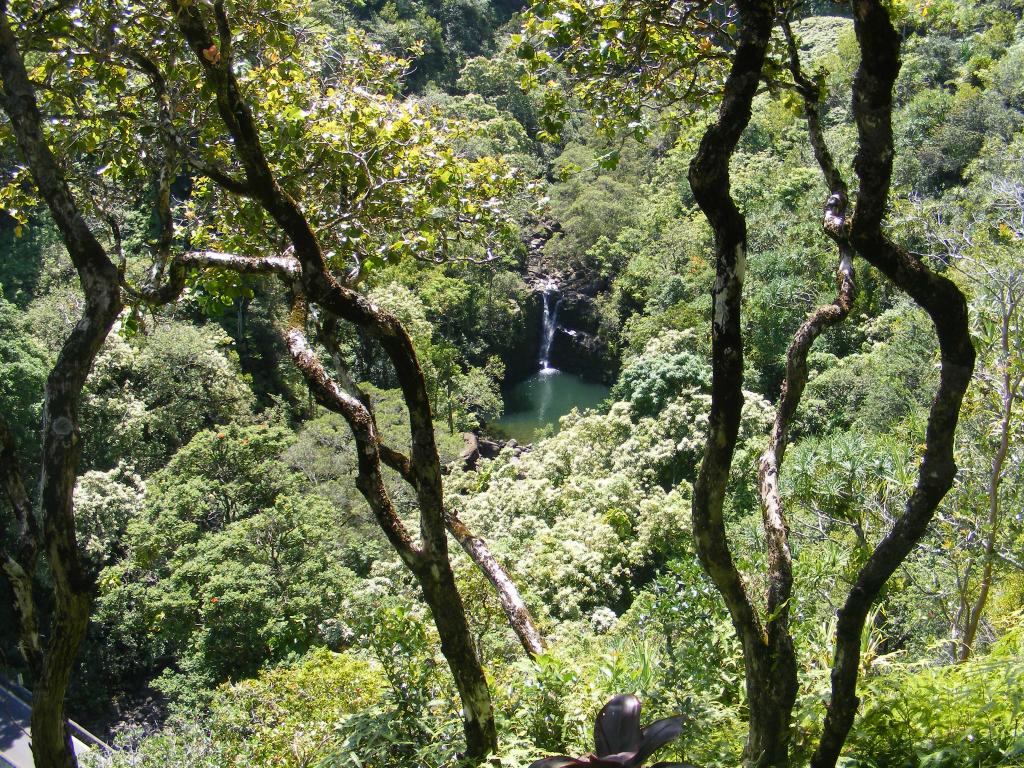 Foto de Maui (Hawaii), Estados Unidos