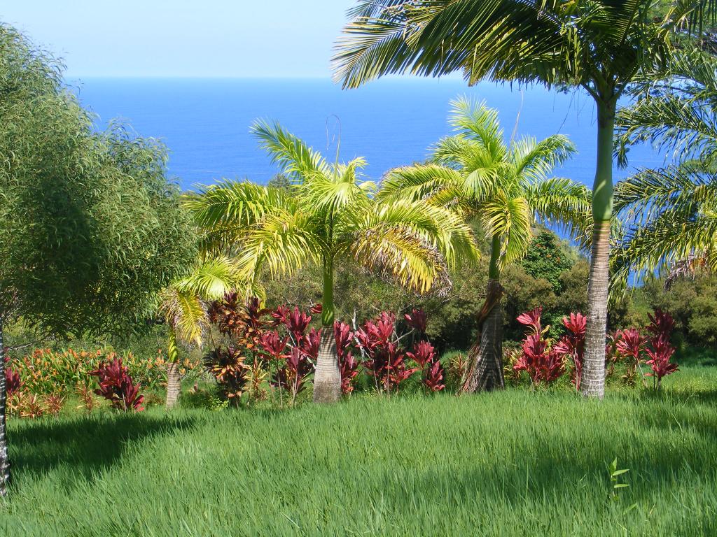 Foto de Maui (Hawaii), Estados Unidos