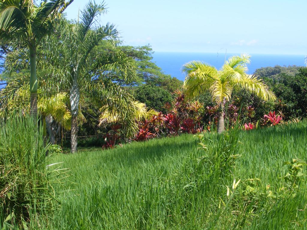 Foto de Maui (Hawaii), Estados Unidos