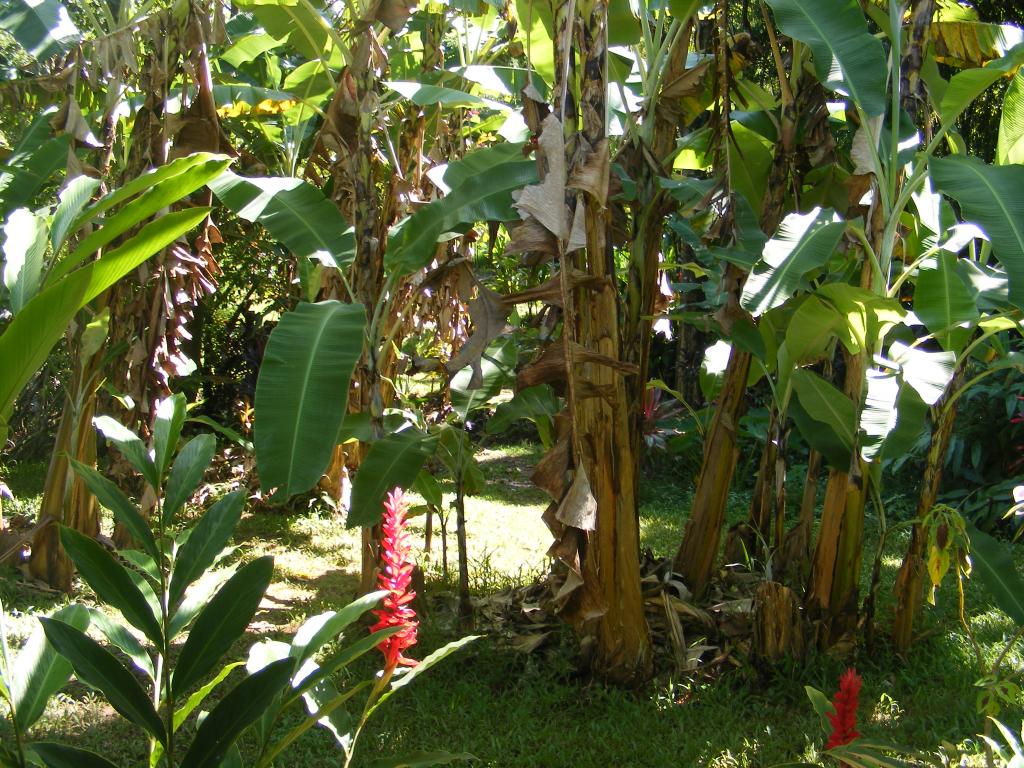 Foto de Maui (Hawaii), Estados Unidos