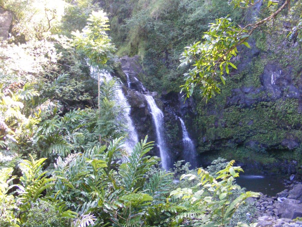 Foto de Maui (Hawaii), Estados Unidos