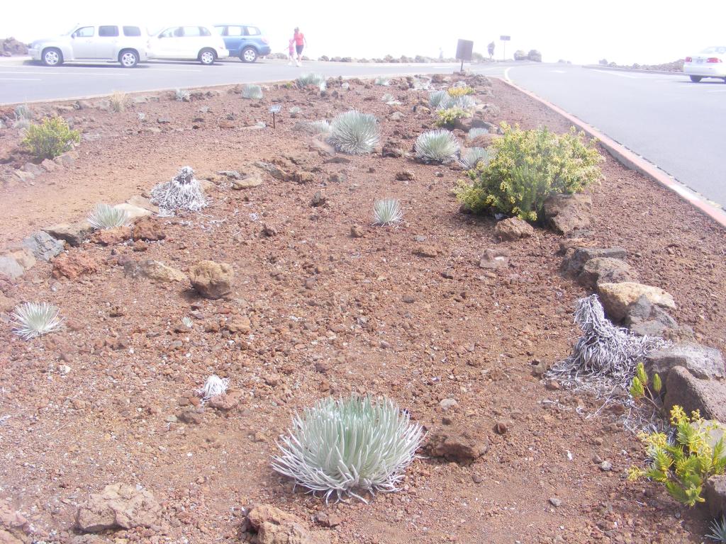 Foto de Maui (Hawaii), Estados Unidos