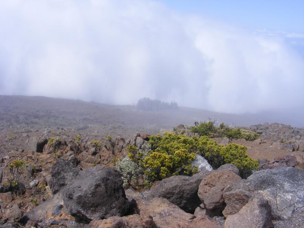 Foto de Maui (Hawaii), Estados Unidos