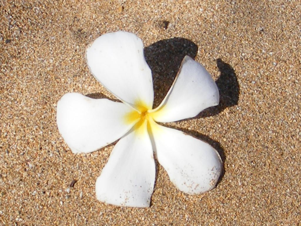 Foto de Kaanapali (Maui) (Hawaii), Estados Unidos