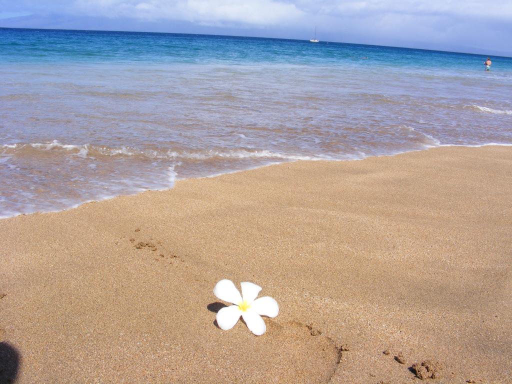 Foto de Kaanapali (Maui) (Hawaii), Estados Unidos