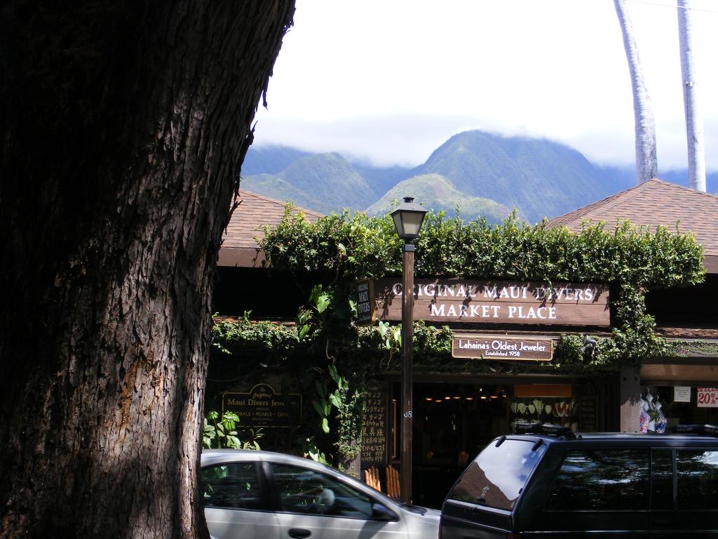 Foto de Lahaina (Maui) (Hawaii), Estados Unidos