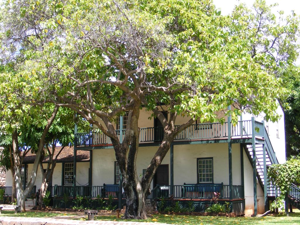 Foto de Lahaina (Maui) (Hawaii), Estados Unidos