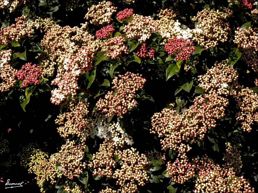 Foto de Zaragoza (Aragón), España