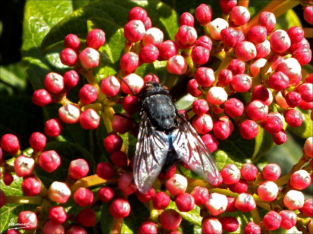 Foto de Zaragoza (Aragón), España