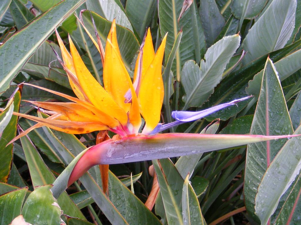 Foto de Los Angeles (California), Estados Unidos