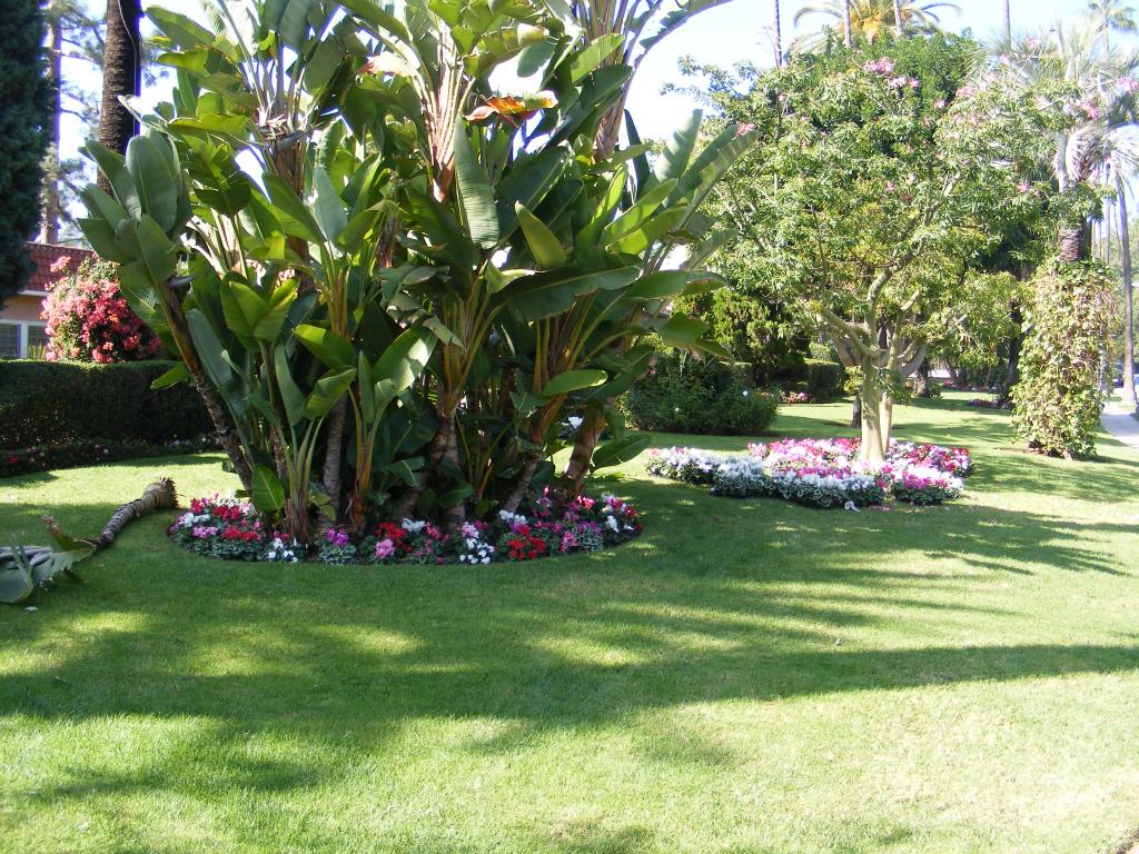 Foto de Los Angeles (California), Estados Unidos