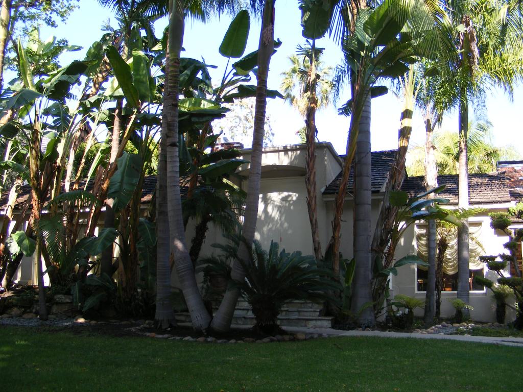 Foto de Los Angeles (California), Estados Unidos