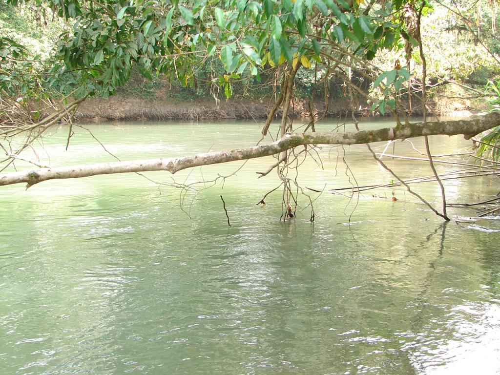 Foto de Upala (Alajuela), Costa Rica