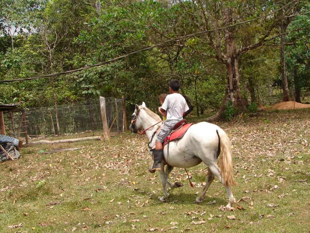 Foto de Upala (Alajuela), Costa Rica