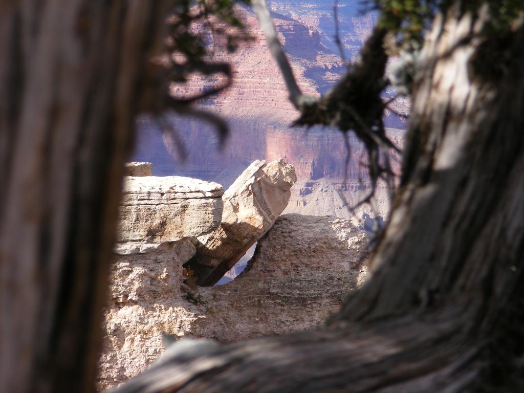 Foto de Tusayan (Grand Canyon) (Arizona), Estados Unidos