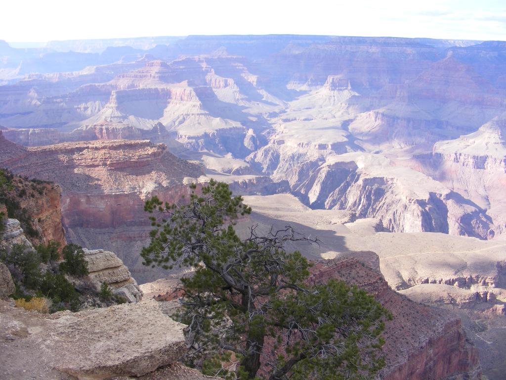 Foto de Tusayan (Grand Canyon) (Arizona), Estados Unidos