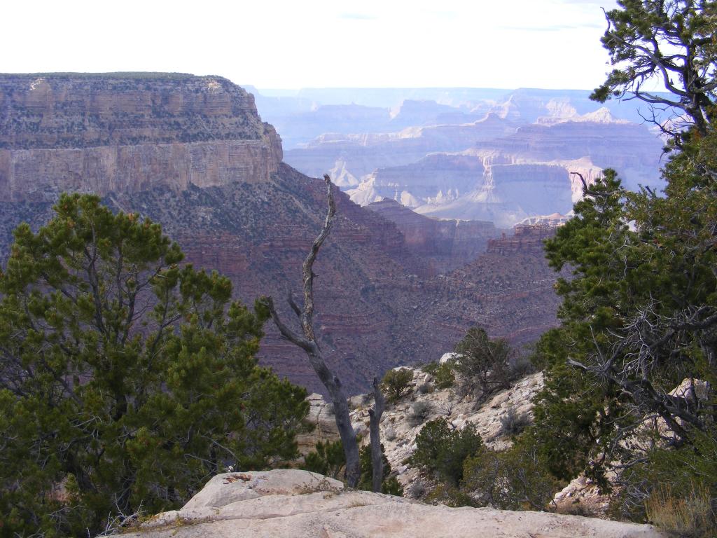 Foto de Tusayan (Grand Canyon) (Arizona), Estados Unidos