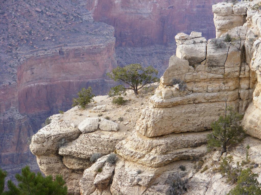 Foto de Tusayan (Grand Canyon) (Arizona), Estados Unidos
