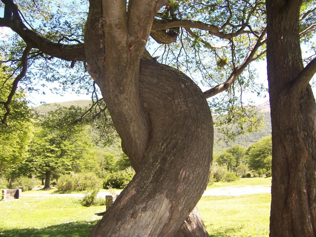 Foto de Ushuaia, Argentina