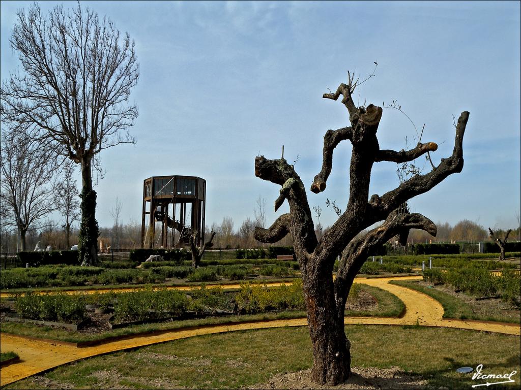 Foto de La Alfranca (Zaragoza), España