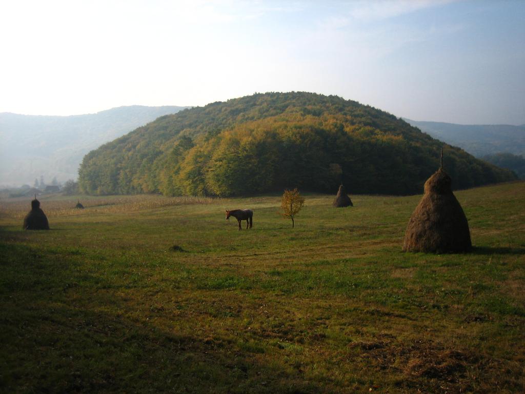 Foto de Viile Dejului, Rumania