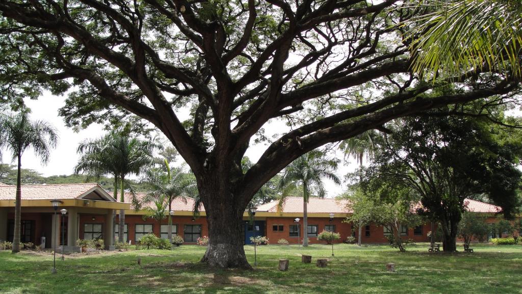 Foto de Palmira (Valle del Cauca), Colombia