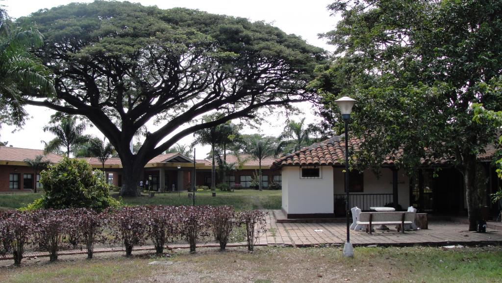 Foto de Palmira (Valle del Cauca), Colombia