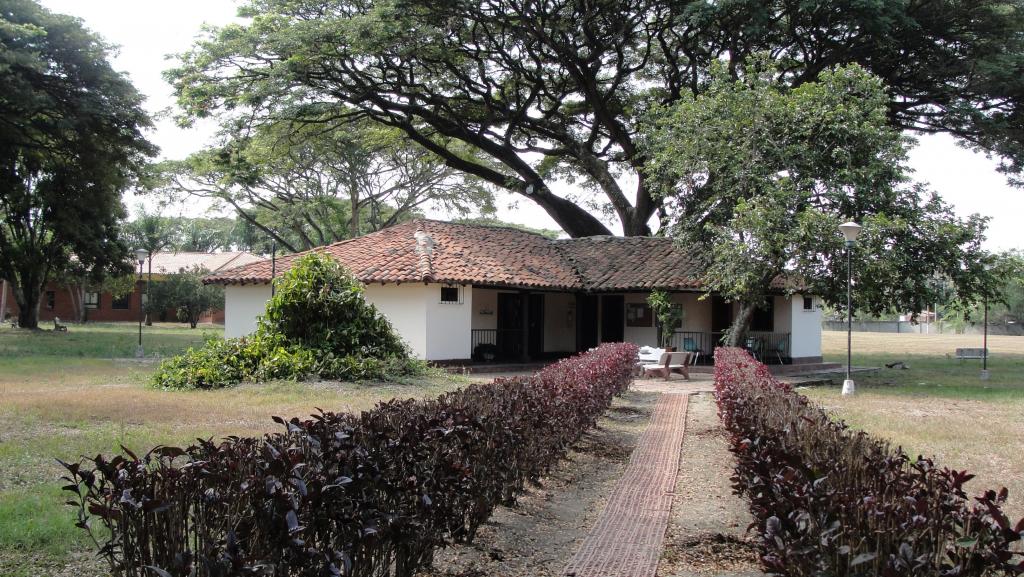 Foto de Palmira (Valle del Cauca), Colombia