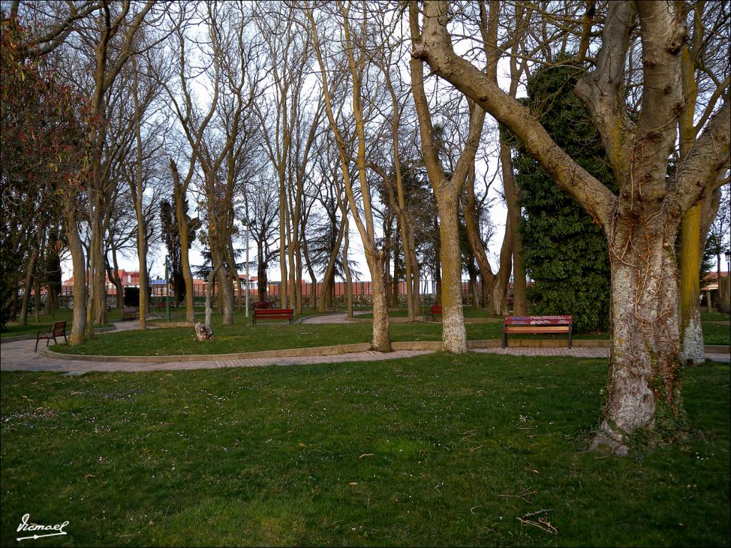 Foto de Benavente (Zamora), España