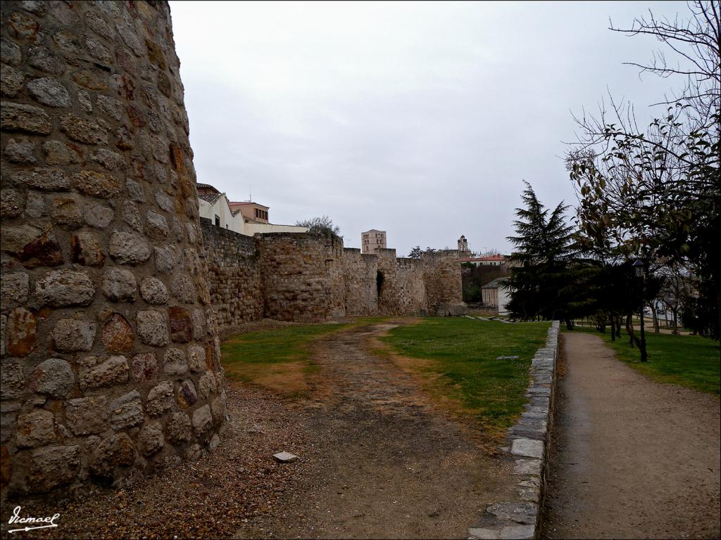 Foto de Zamora (Castilla y León), España