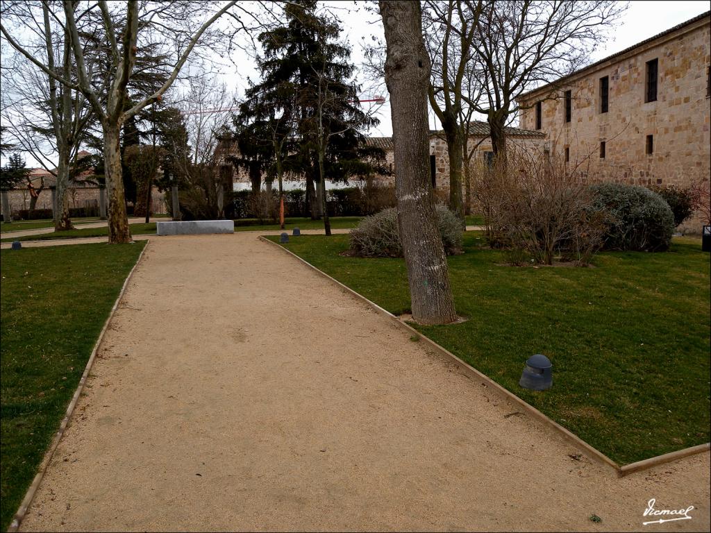 Foto de Zamora (Castilla y León), España