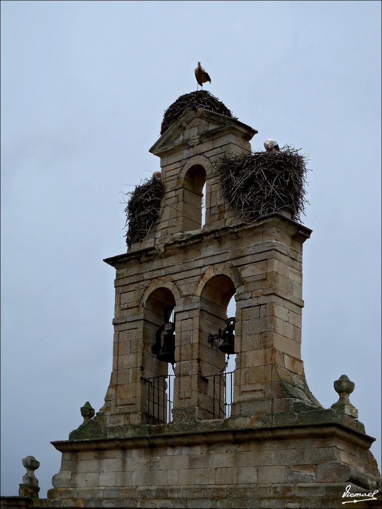 Foto de Zamora (Castilla y León), España